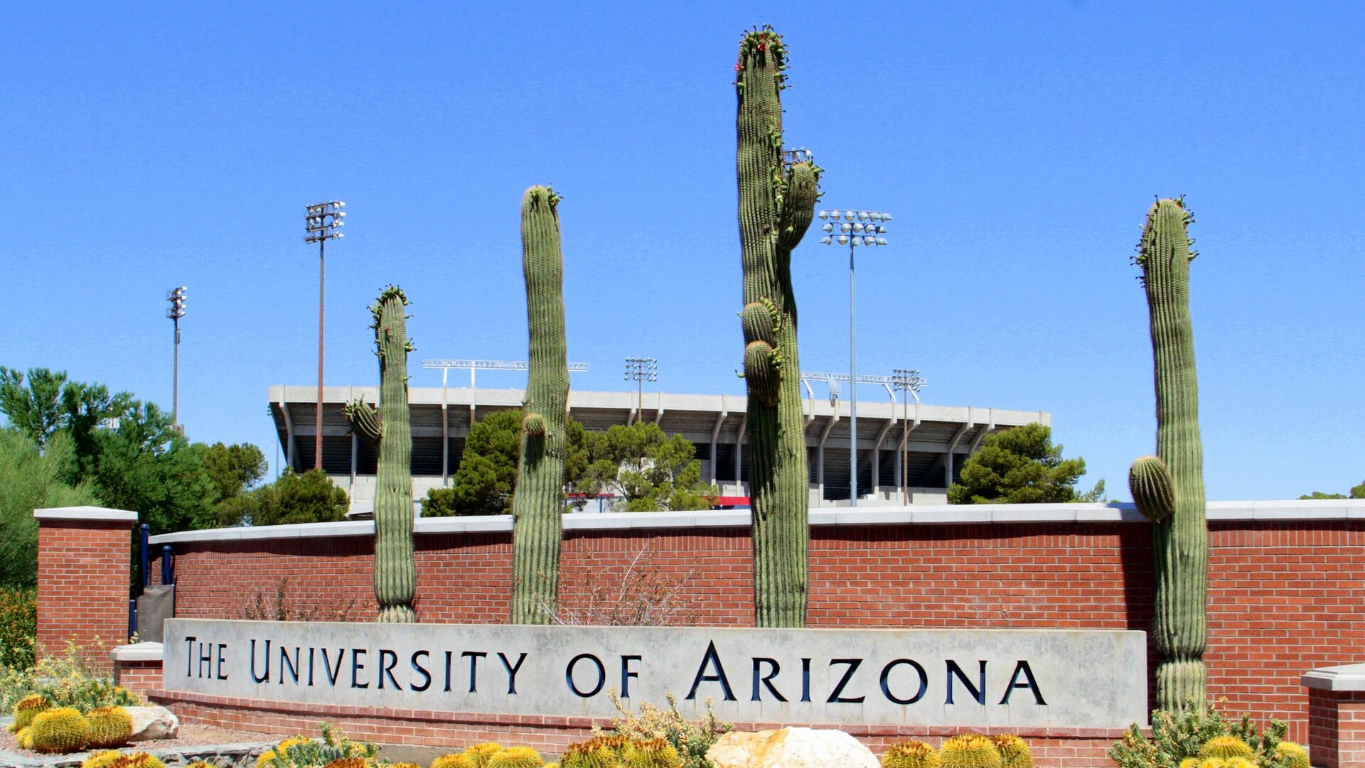 Graduate Assistantships at University of Arizona 2025