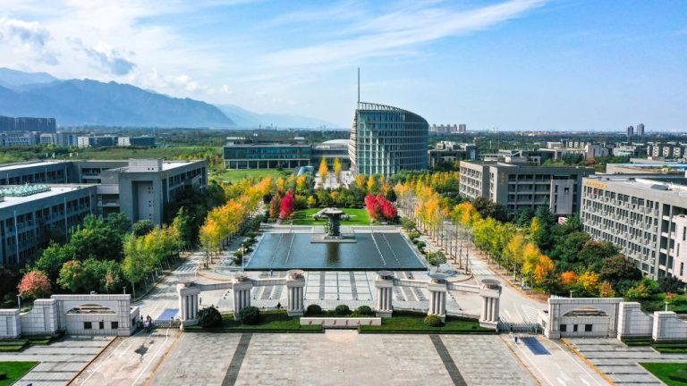 npu